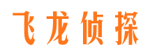 南岸调查事务所